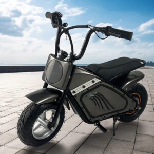New Phantom Little Hawk Children's Electric Motorcycle 36V 350W Electric Toy Vehicle Playground Taxi Export Product