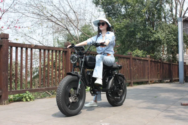 Keyless NFC Control 3 Speed Levels 3000W Fast Speed City Commuting Customizable Electric City Coco Bike Ebike Fat Tire E-bike - Image 8