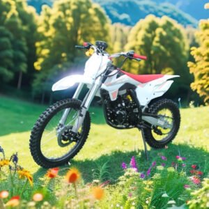 Factory direct sale of large off-road double-frame 250CC two-wheel off-road vehicle, full-terrain mountain off-road motorcycle with fuel supply system