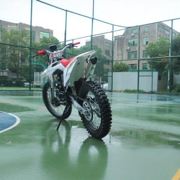 Factory direct sale of large off-road double-frame 250CC two-wheel off-road vehicle, full-terrain mountain off-road motorcycle with fuel supply system - Image 5